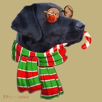 Black Lab Labrador Dog Owners Christmas Xmas Holiday Party Long Sleeve Shirt thumb 2