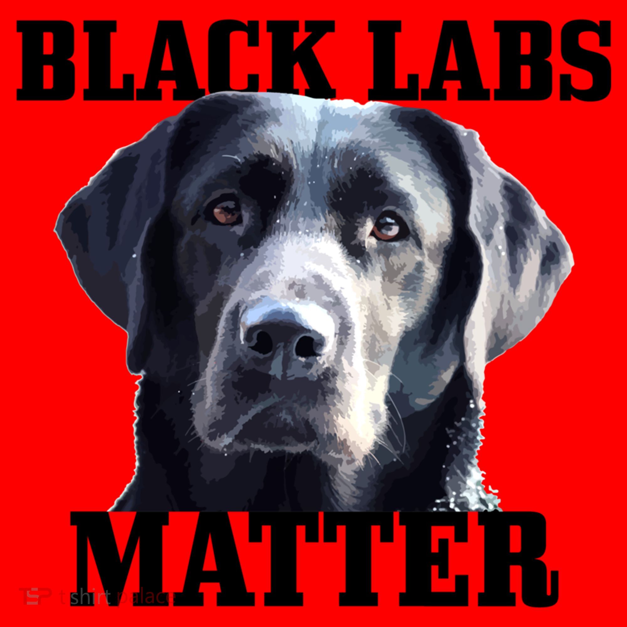 Black Labs Matter Labrador Retriever Mom Dad Dog Lover Funny Gift Santa Hat