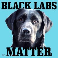 Black Labs Matter Labrador Retriever Mom Dad Dog Lover Funny Gift Kids Long Sleeve Shirt thumb 2