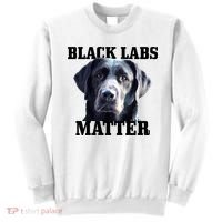 Black Labs Matter Labrador Retriever Mom Dad Dog Lover Funny Gift Sweatshirt thumb 0