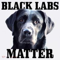 Black Labs Matter Labrador Retriever Mom Dad Dog Lover Funny Gift Women's Hoodie thumb 2