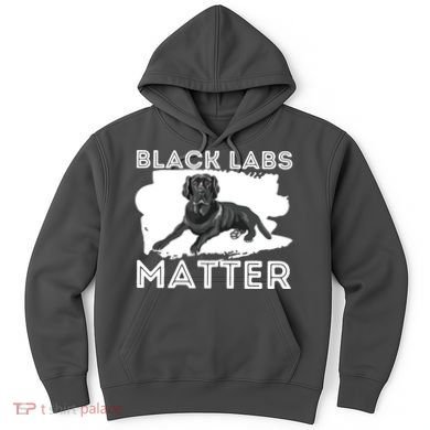 Black Labs Matter Labrador Retriever Lover Dog Owner Hoodie
