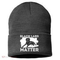 Black Labs Matter Labrador Retriever Lover Dog Owner Sustainable Knit Beanie thumb 0