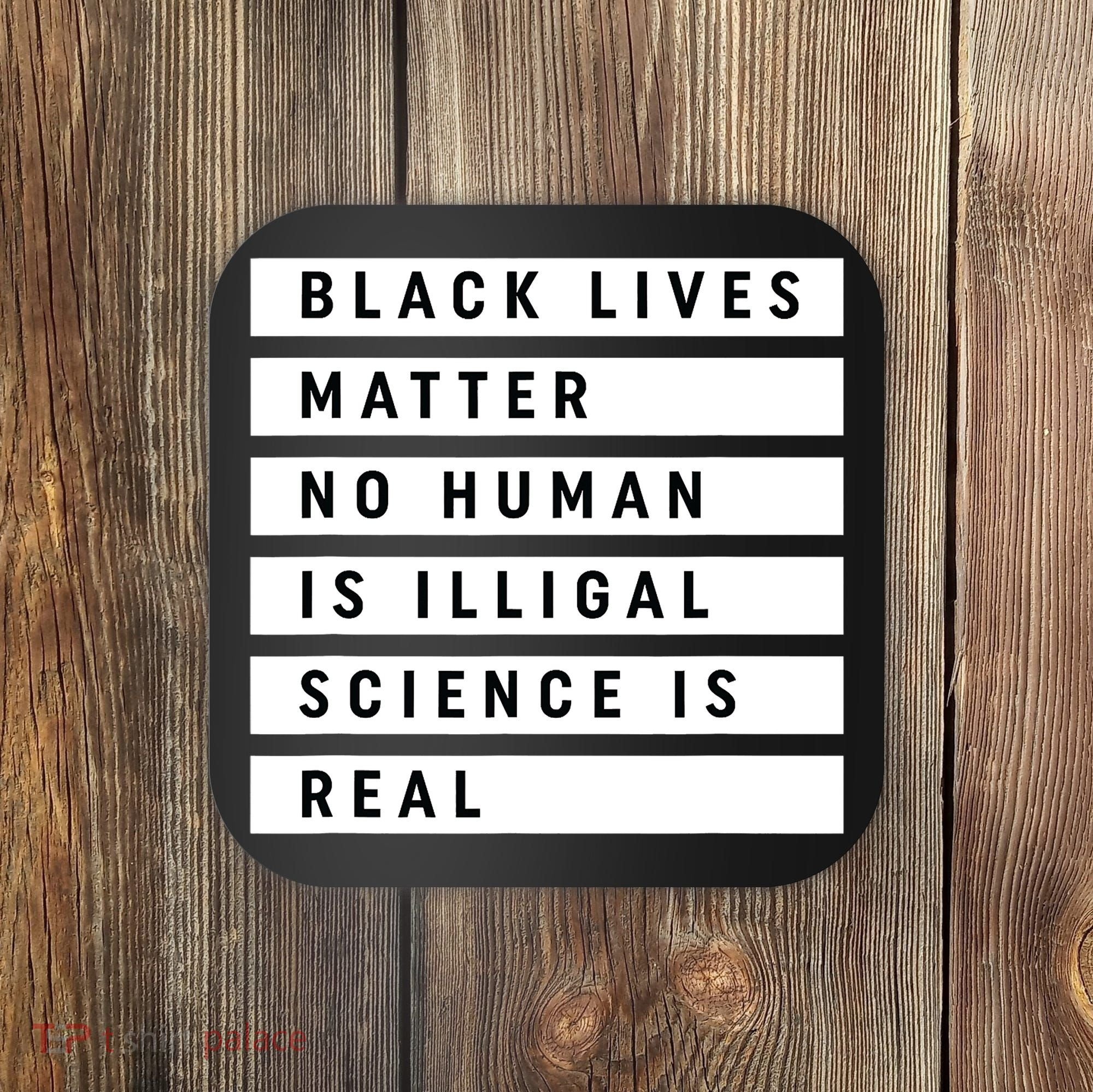 Black Lives Matter 's Rights Are Human Rights Coaster