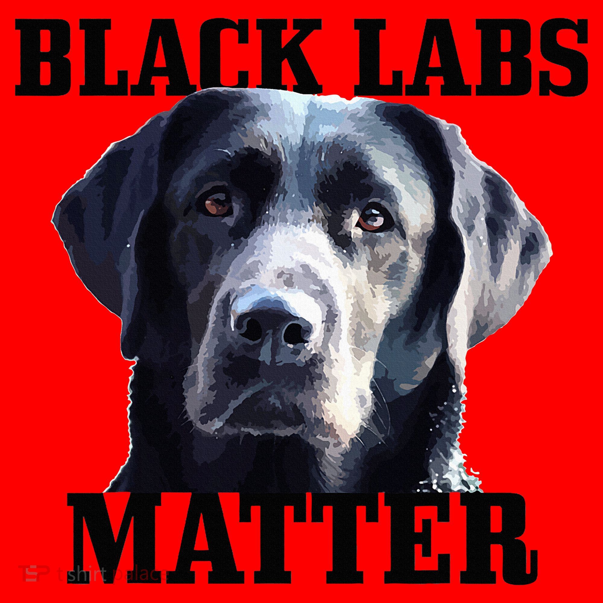 Black Labs Matter Labrador Retriever Mom Dad Dog Lover Santa Hat