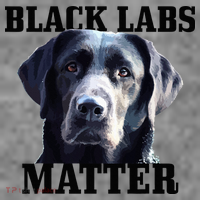 Black Labs Matter Labrador Retriever Mom Dad Dog Lover Toddler Hoodie thumb 2