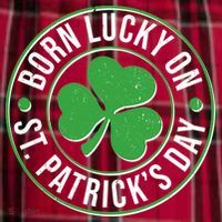 Born Lucky On St Patrick's Day Shamrock Emblem Women's Flannel Plaid Pajama Pants thumb 2