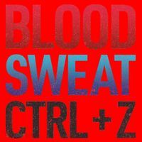 Blood Sweat Ctrl Z Santa Hat thumb 1