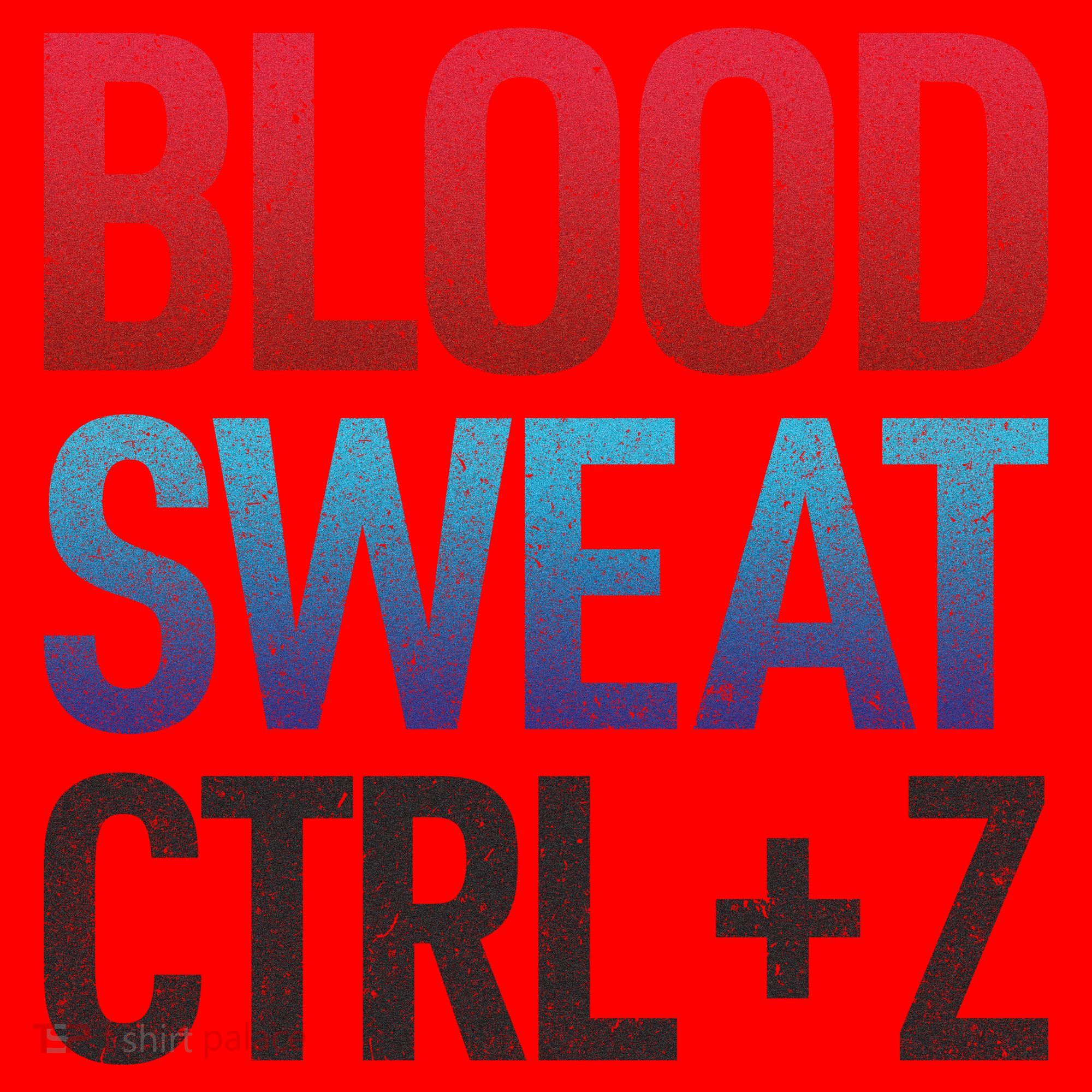 Blood Sweat Ctrl Z Santa Hat