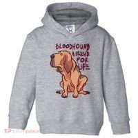 Bloodhound A Friend For Life Toddler Hoodie thumb 0
