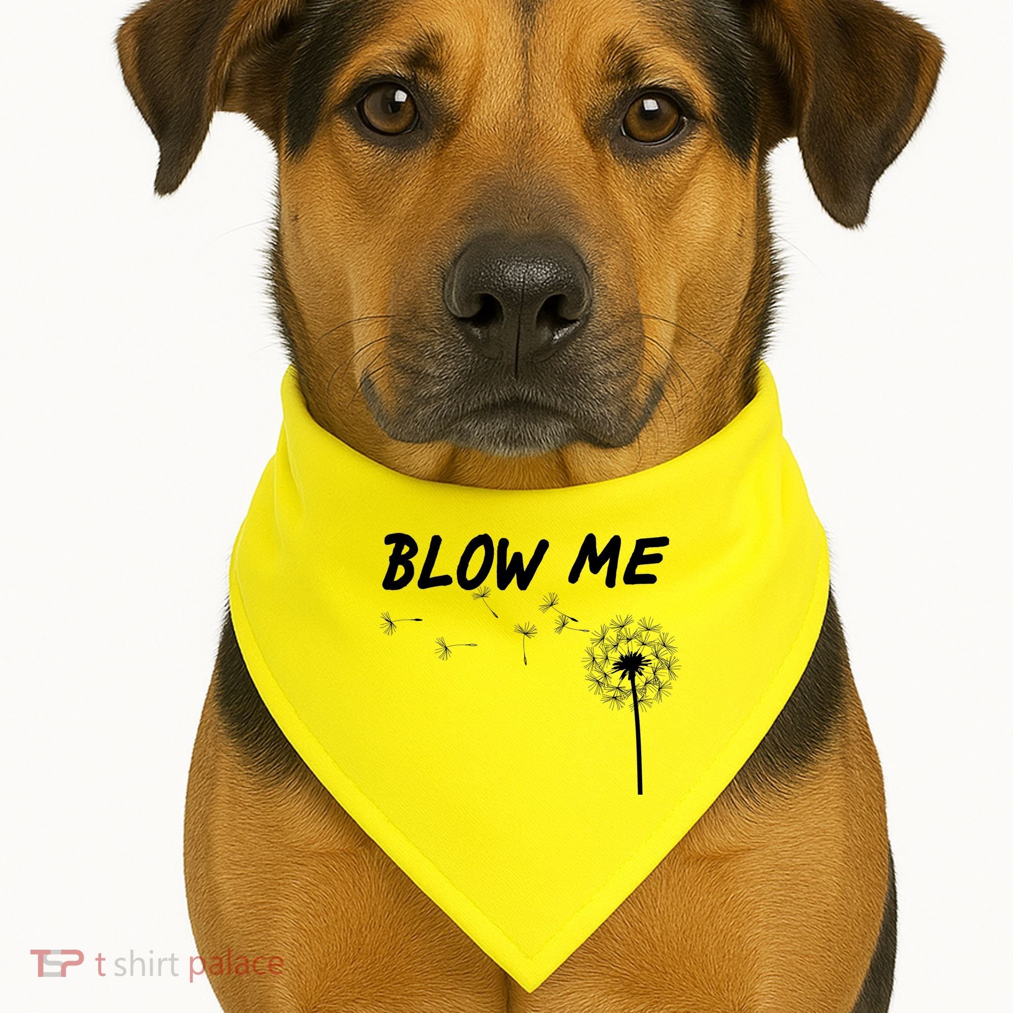 Blow Me Dandelion USA-Made Doggie Bandana
