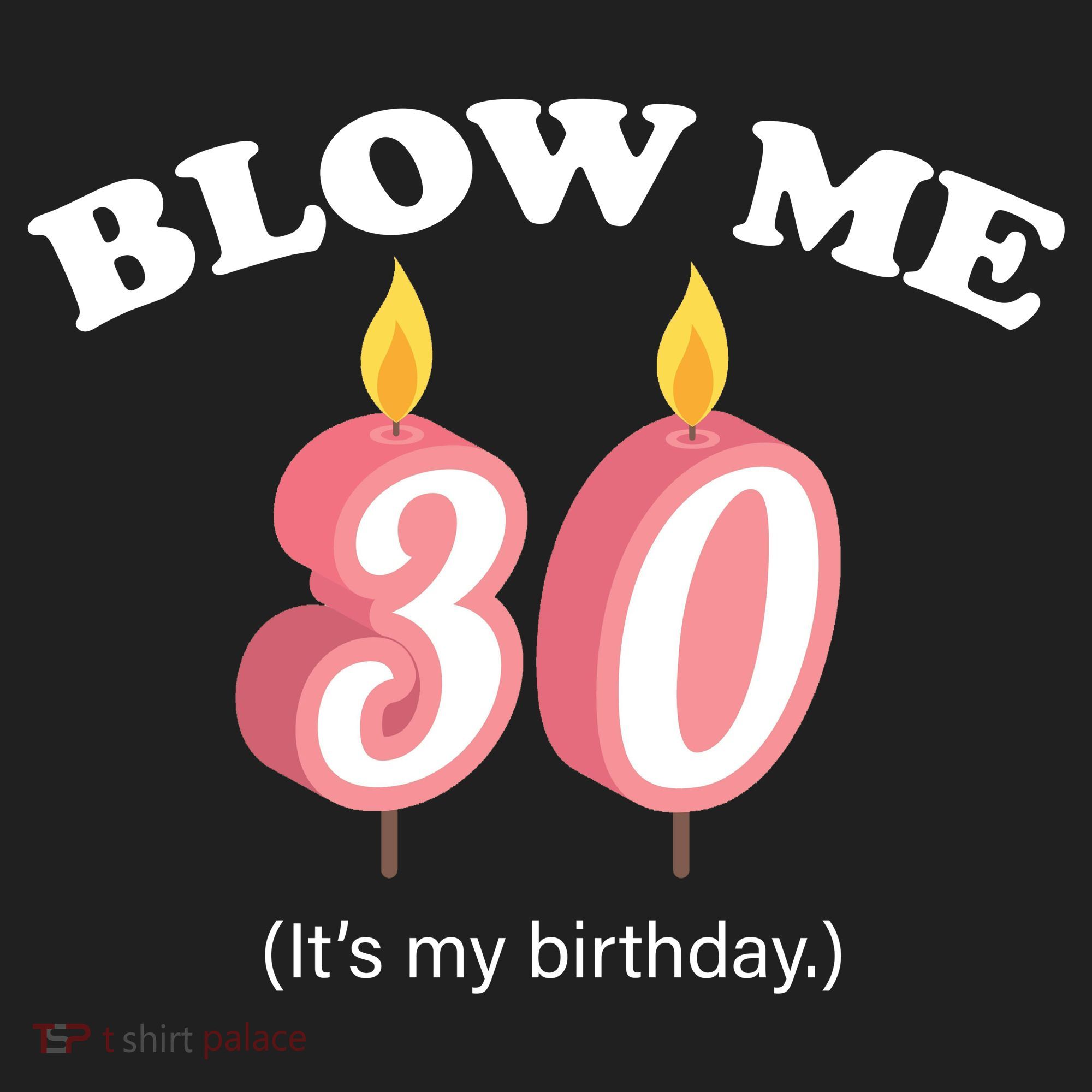 Blow Me It's My 30th Birthday Beanie