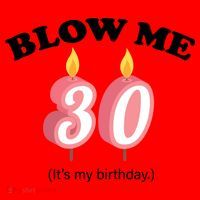 Blow Me It's My 30th Birthday Santa Hat thumb 1