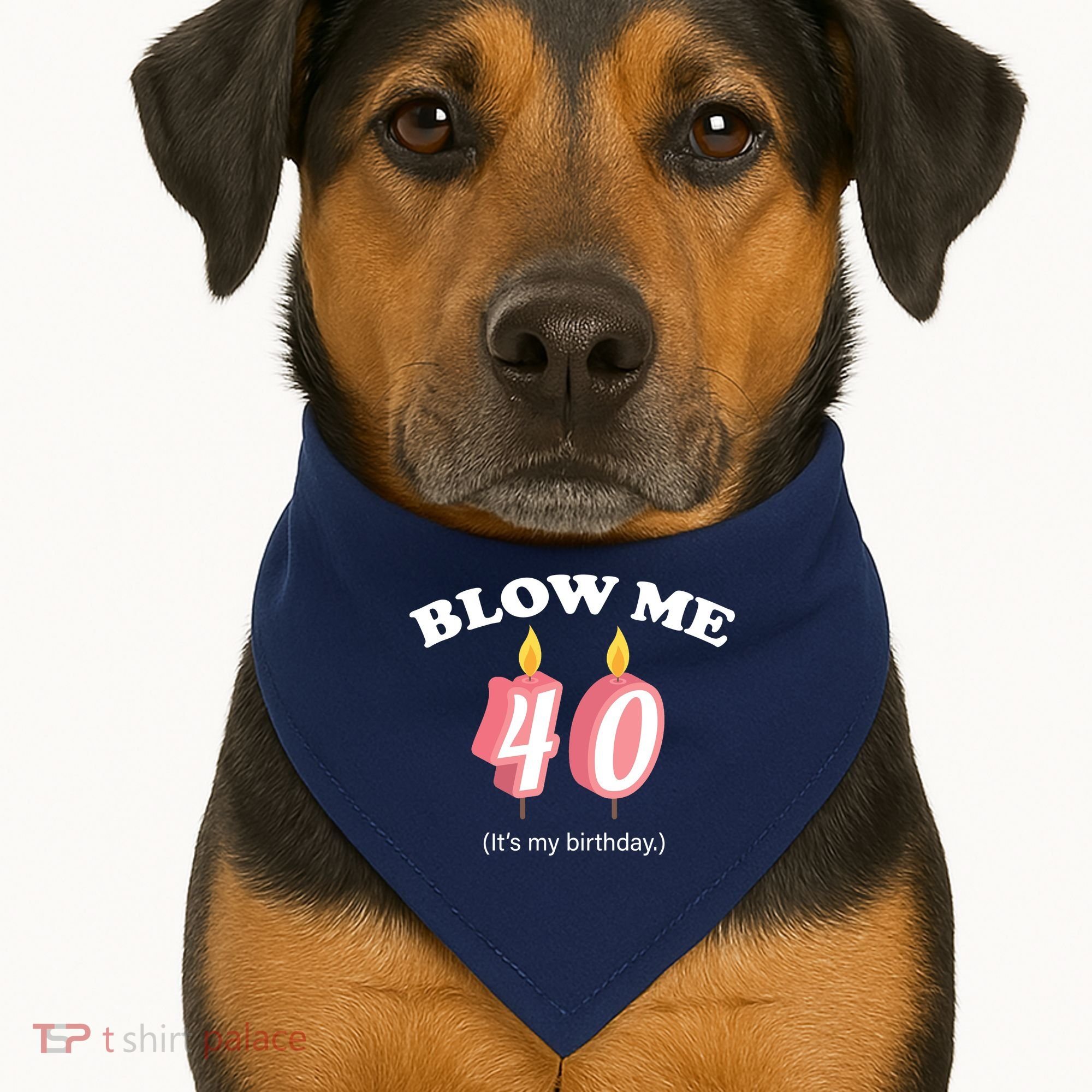 Blow Me It's My 40th Birthday USA-Made Doggie Bandana