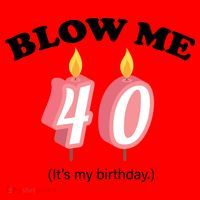 Blow Me It's My 40th Birthday Santa Hat thumb 1