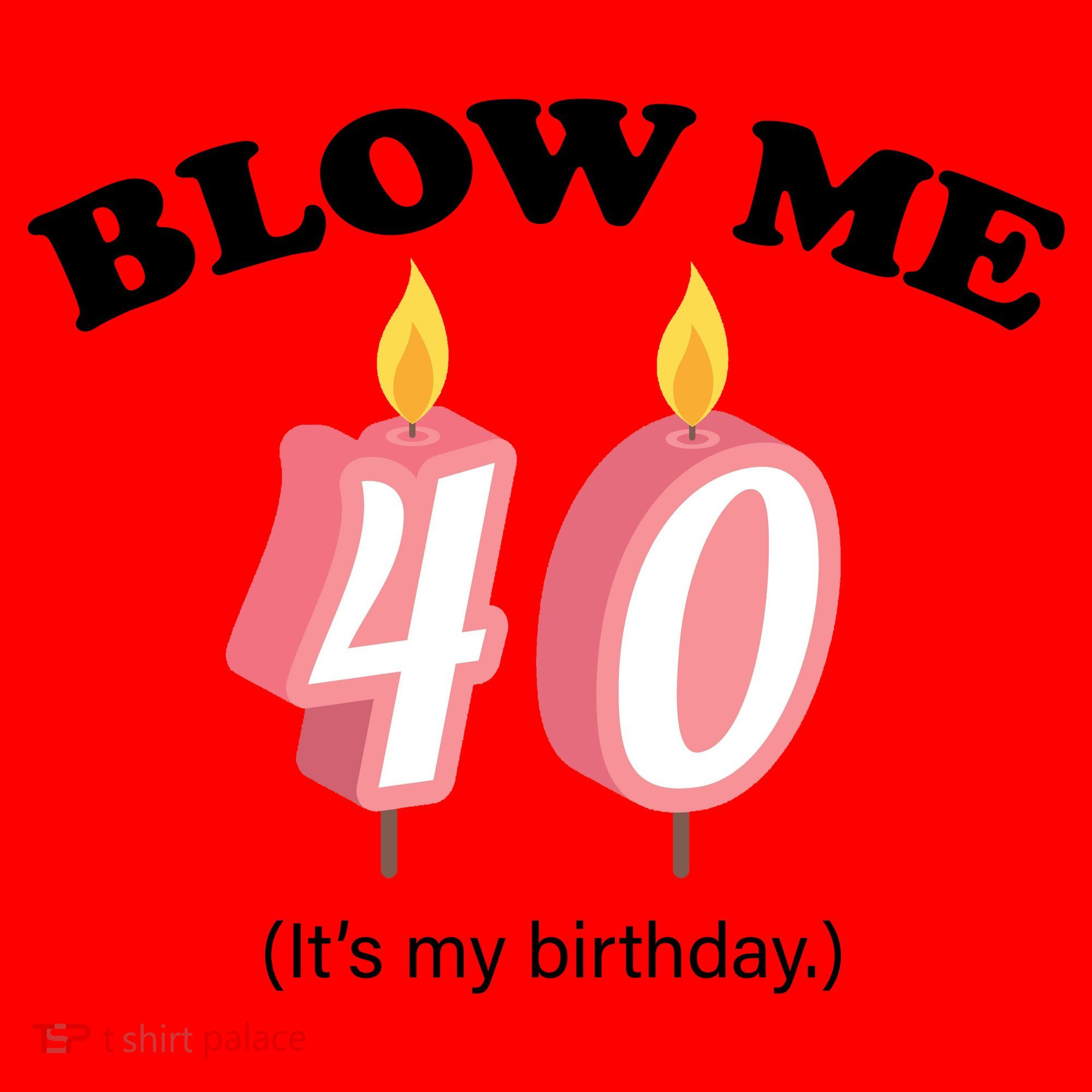 Blow Me It's My 40th Birthday Santa Hat