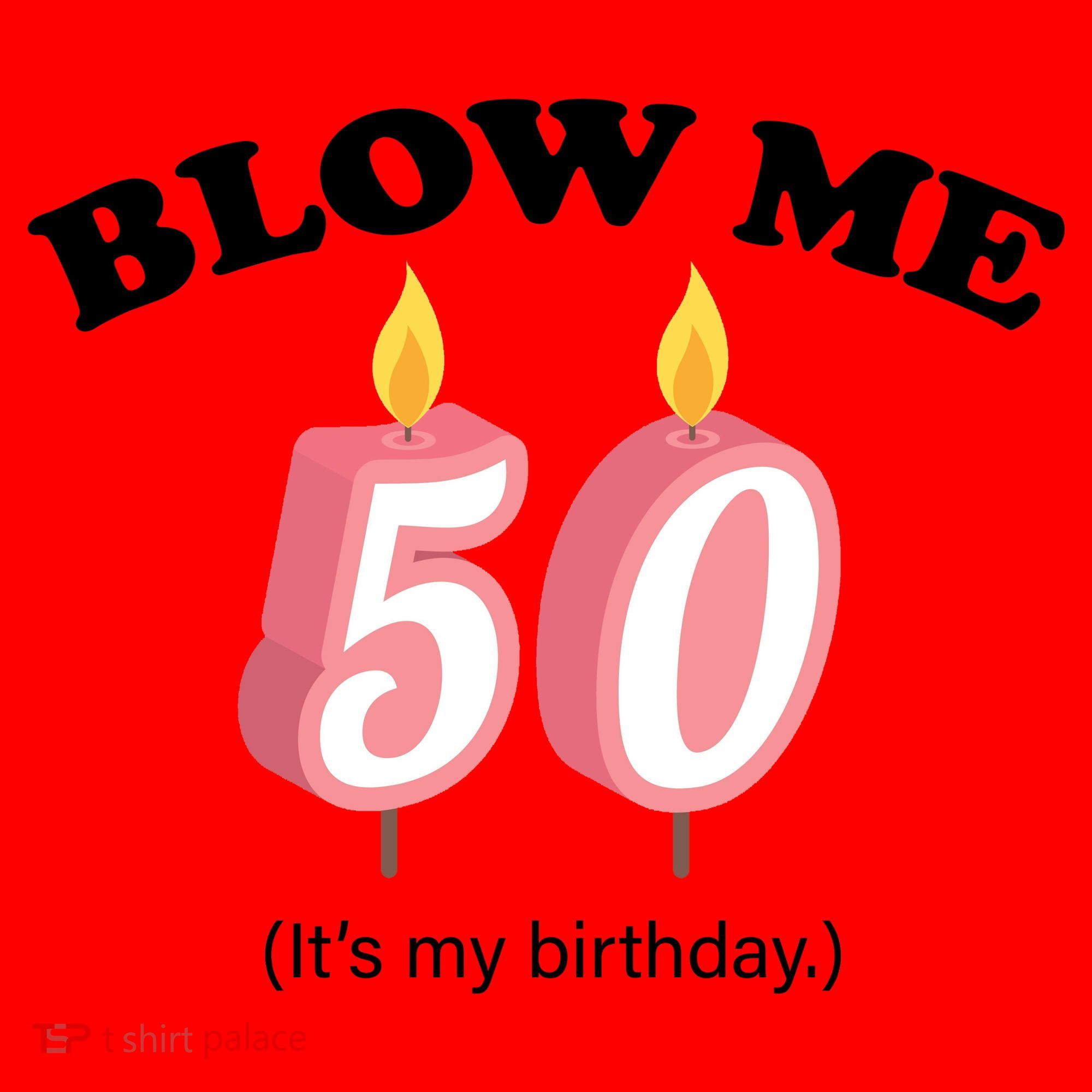 Blow Me It's My 50th Birthday Santa Hat