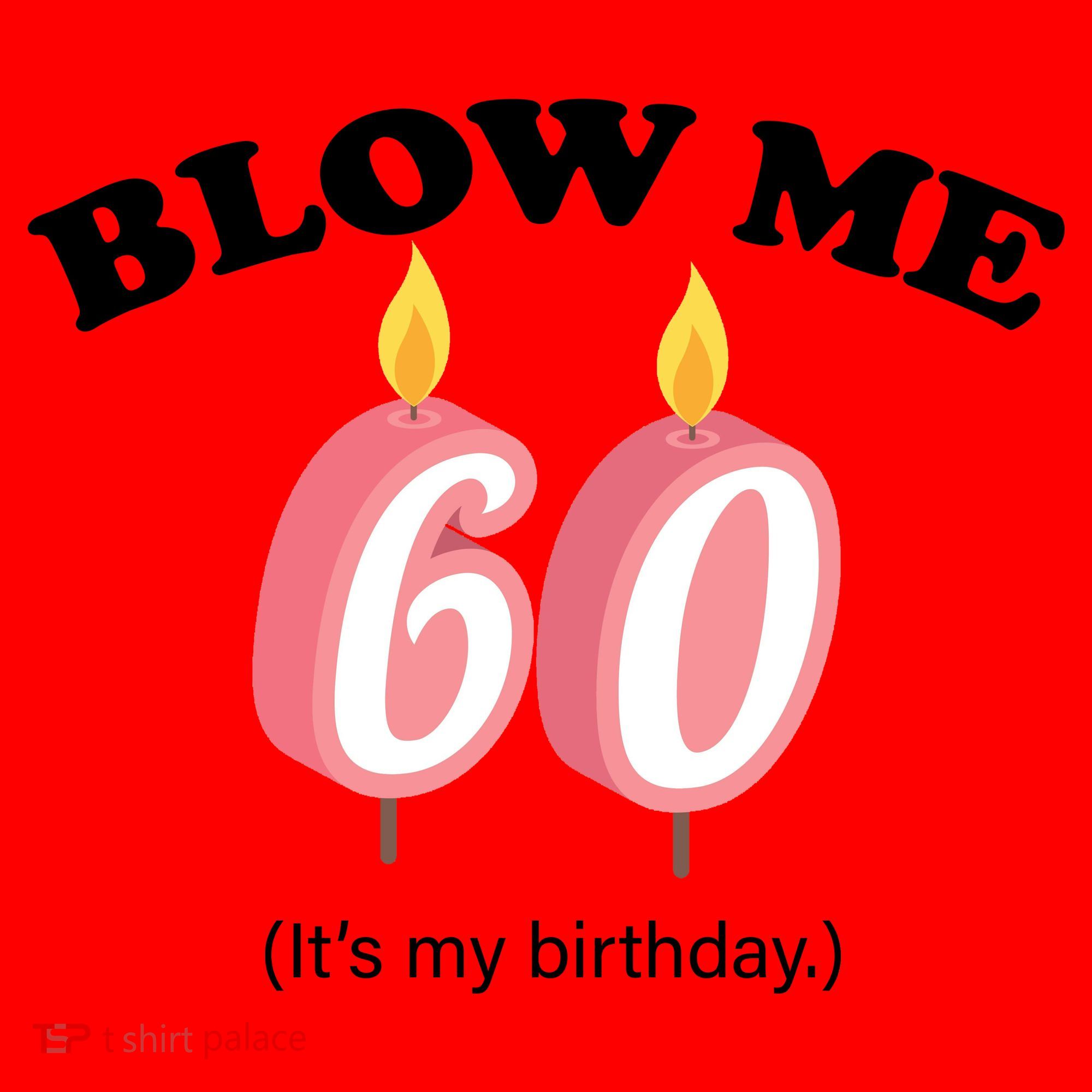 Blow Me It's My 60th Birthday Santa Hat