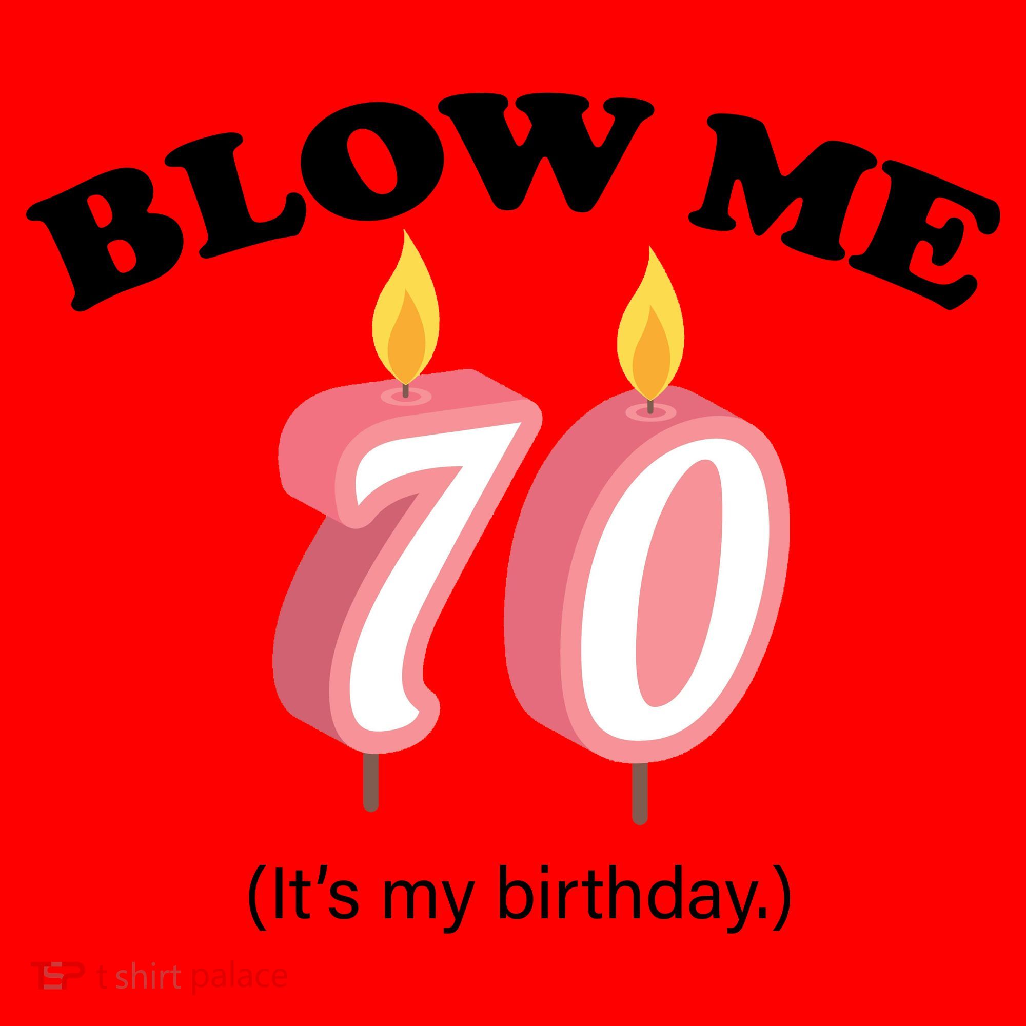Blow Me It's My 70th Birthday Santa Hat
