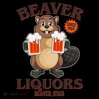 Beaver Liquors Since 1969 Beaver Utah Kids Colorblock Raglan Jersey thumb 2