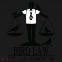 Bird Law T Funny Women's Tank Top thumb 5