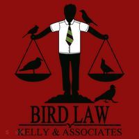 Bird Law T Funny Long Sleeve Shirt thumb 2