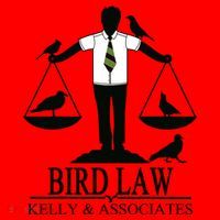 Bird Law T Funny Santa Hat thumb 1