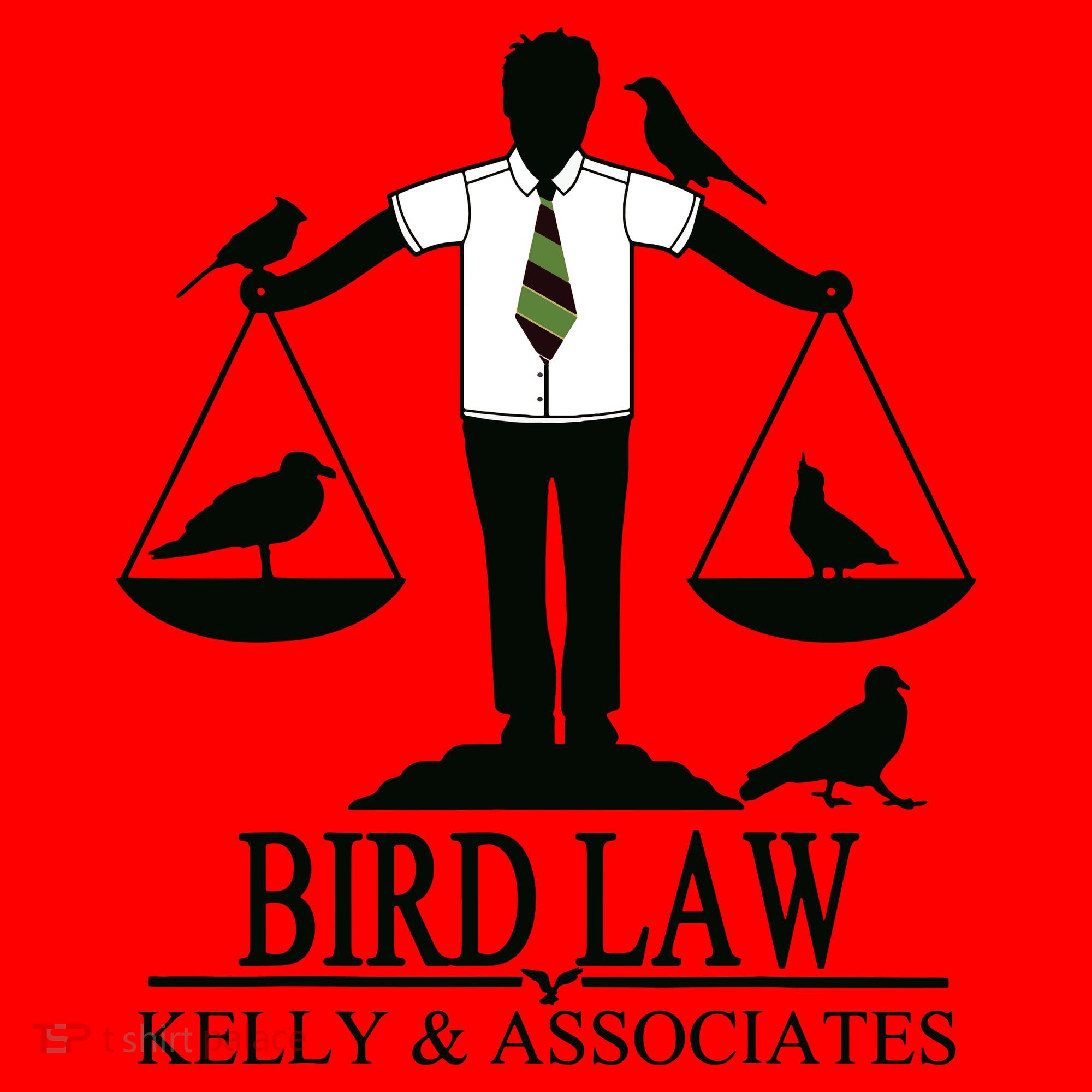 Bird Law T Funny Santa Hat