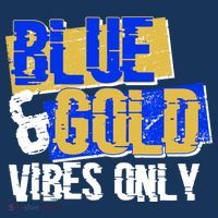 Blue & Gold Vibes Only Hoodie thumb 7