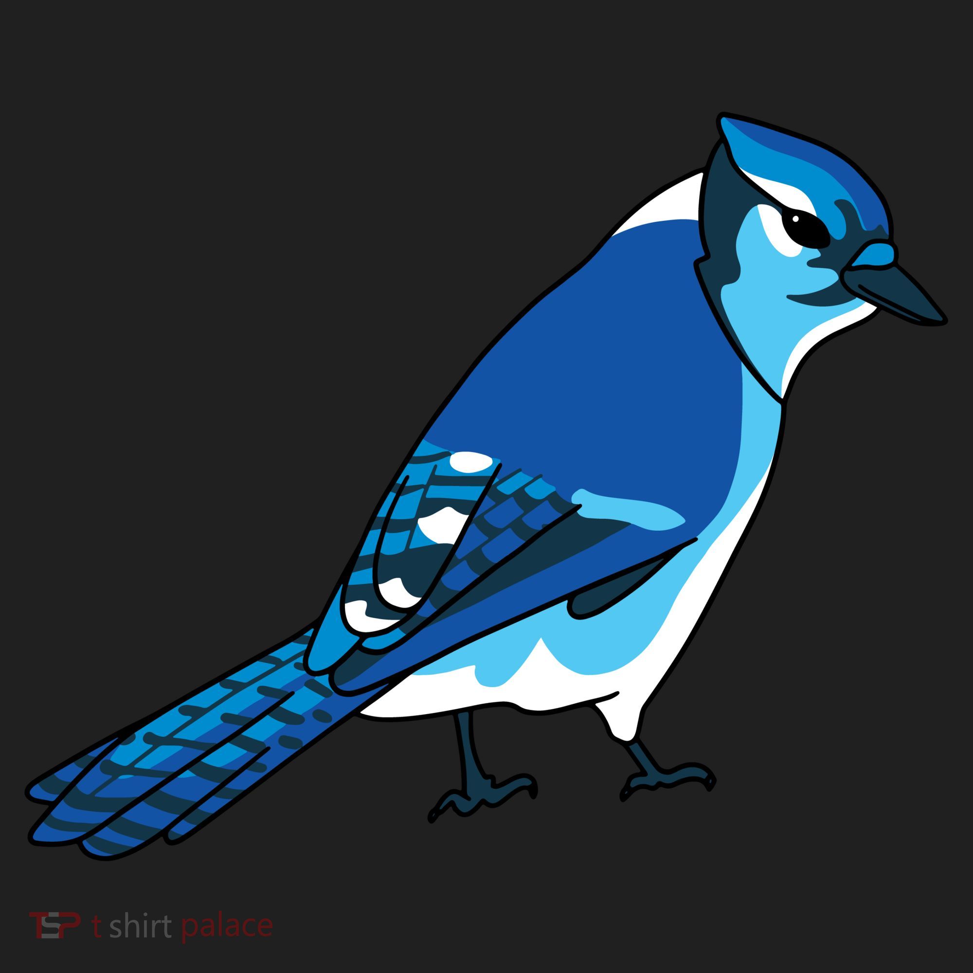 Blue Jay Bird Tumbler