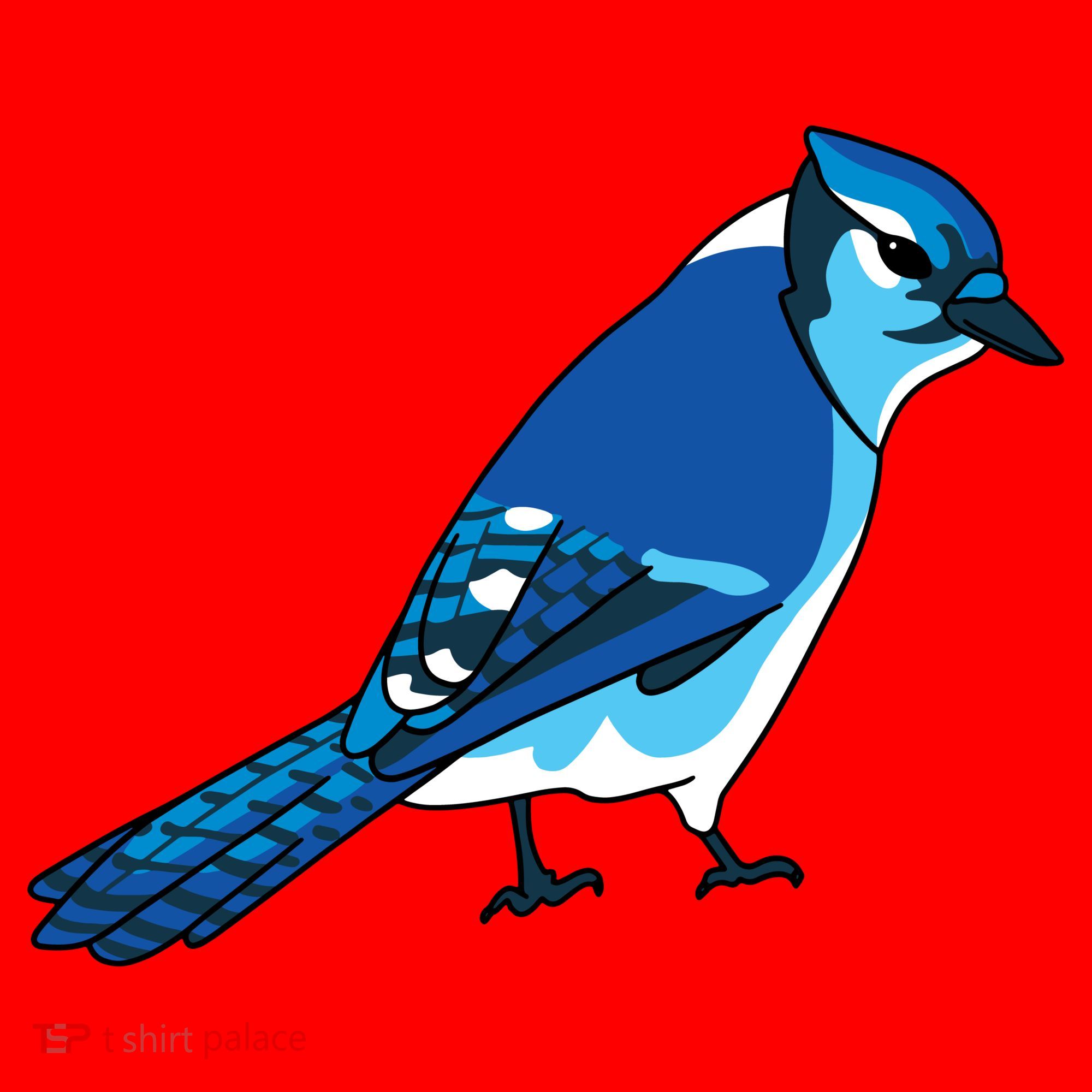 Blue Jay Bird Santa Hat