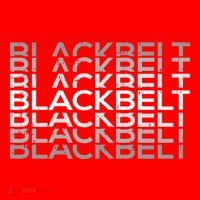 Blackbelt Martial Arts Karate Taekwondo Tkd Jiu Jitsu Judo Gift Santa Hat thumb 1