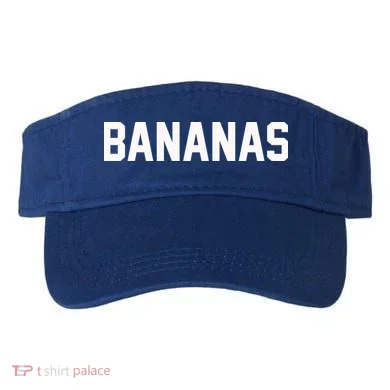 Visor