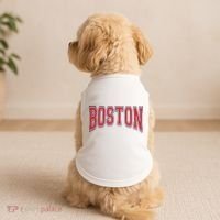 Boston Massachusetts Doggie Tank thumb 2