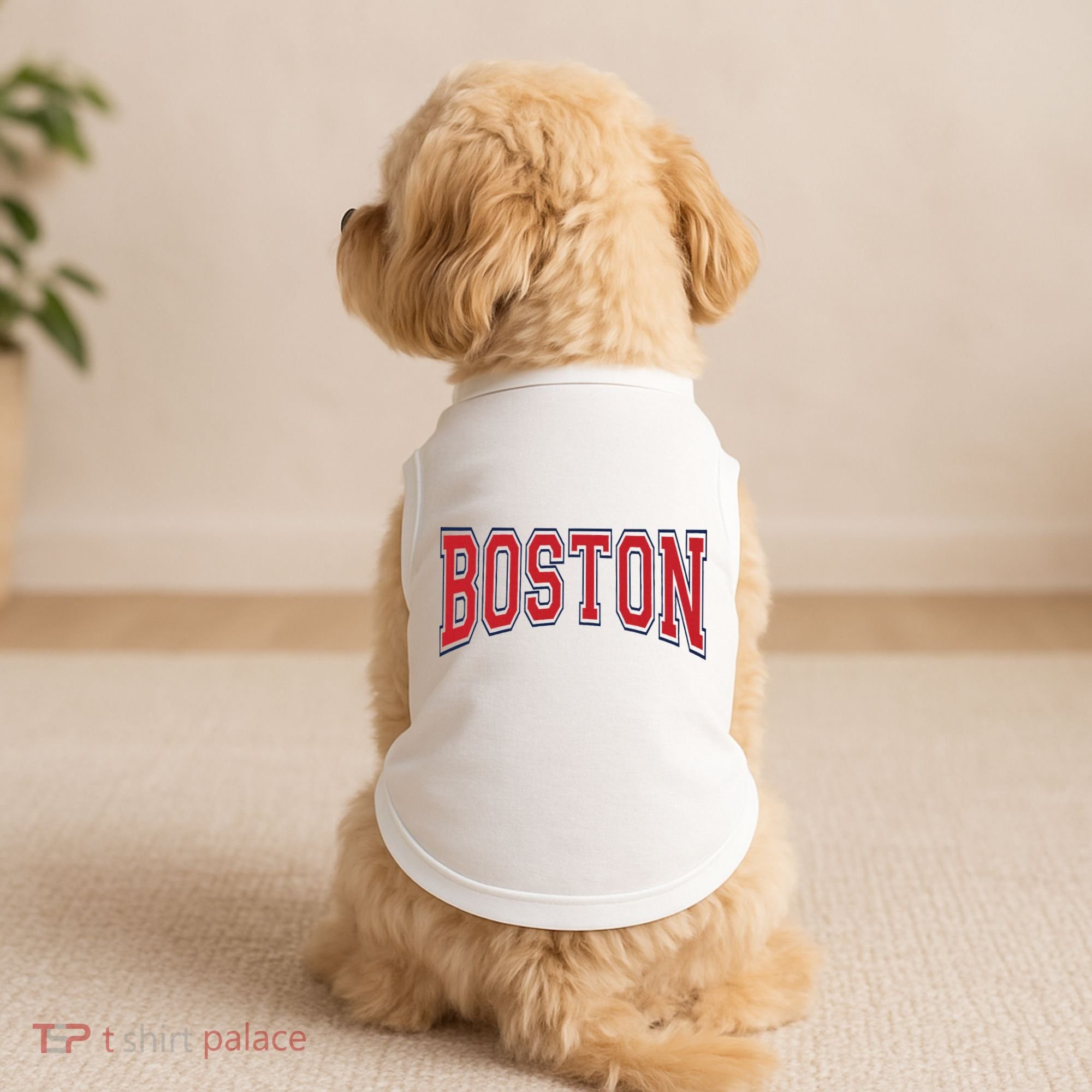 Boston Massachusetts Doggie Tank