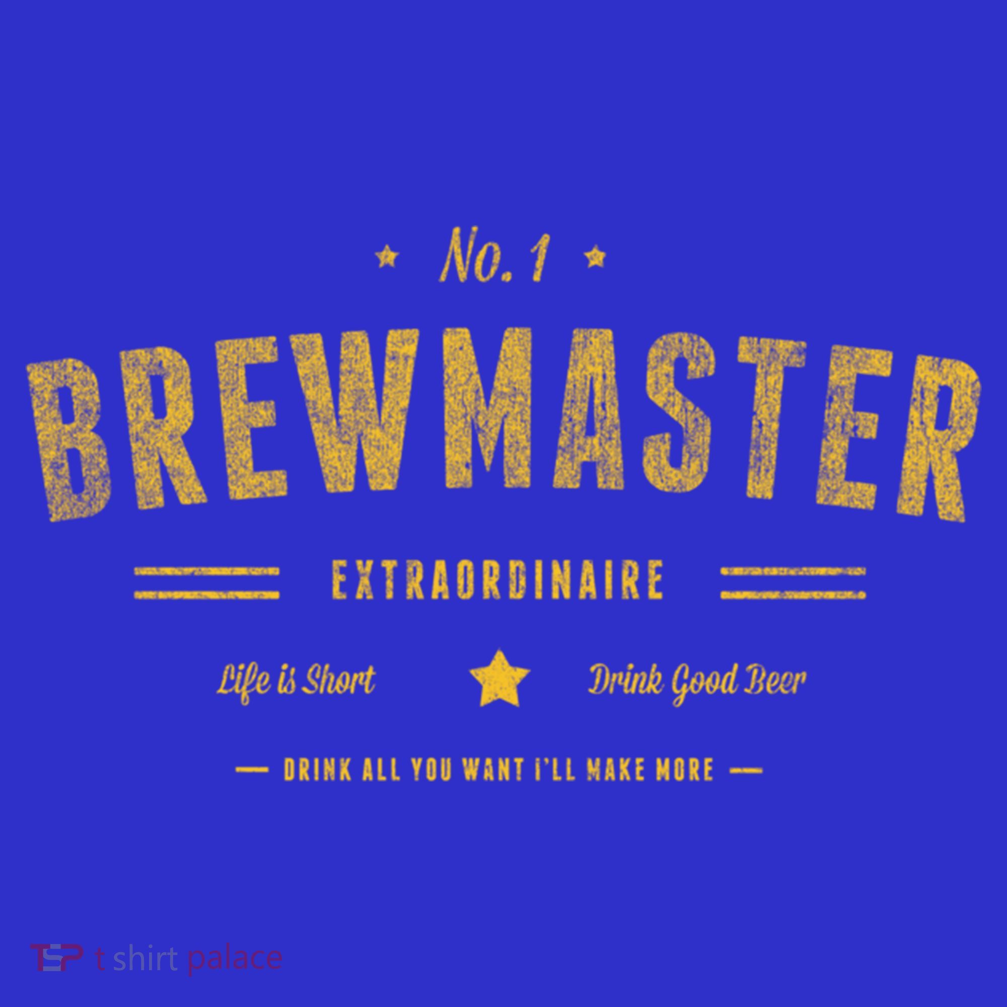Brew Master Beer Brewing Homebrew Gift For Brewer Brewmaster Cool Gift Women's T-Shirt
