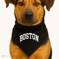 Boston Massachusetts USA-Made Doggie Bandana thumb 1