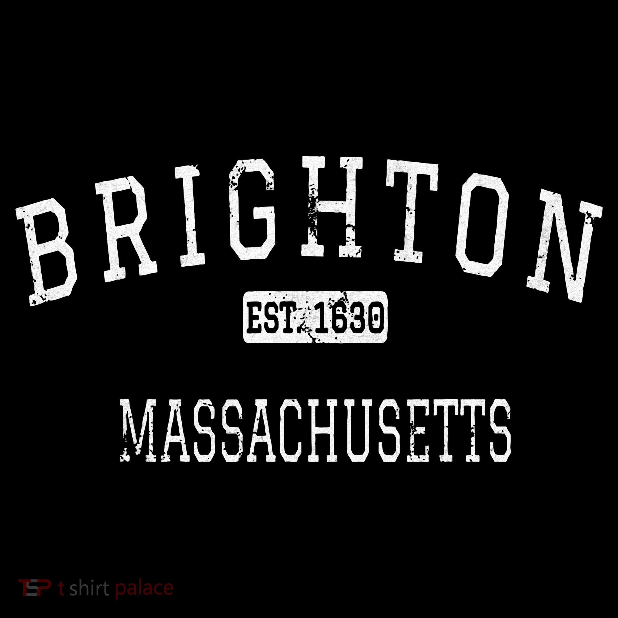 Brighton Massachusetts Boston MA Vintage T-Shirt