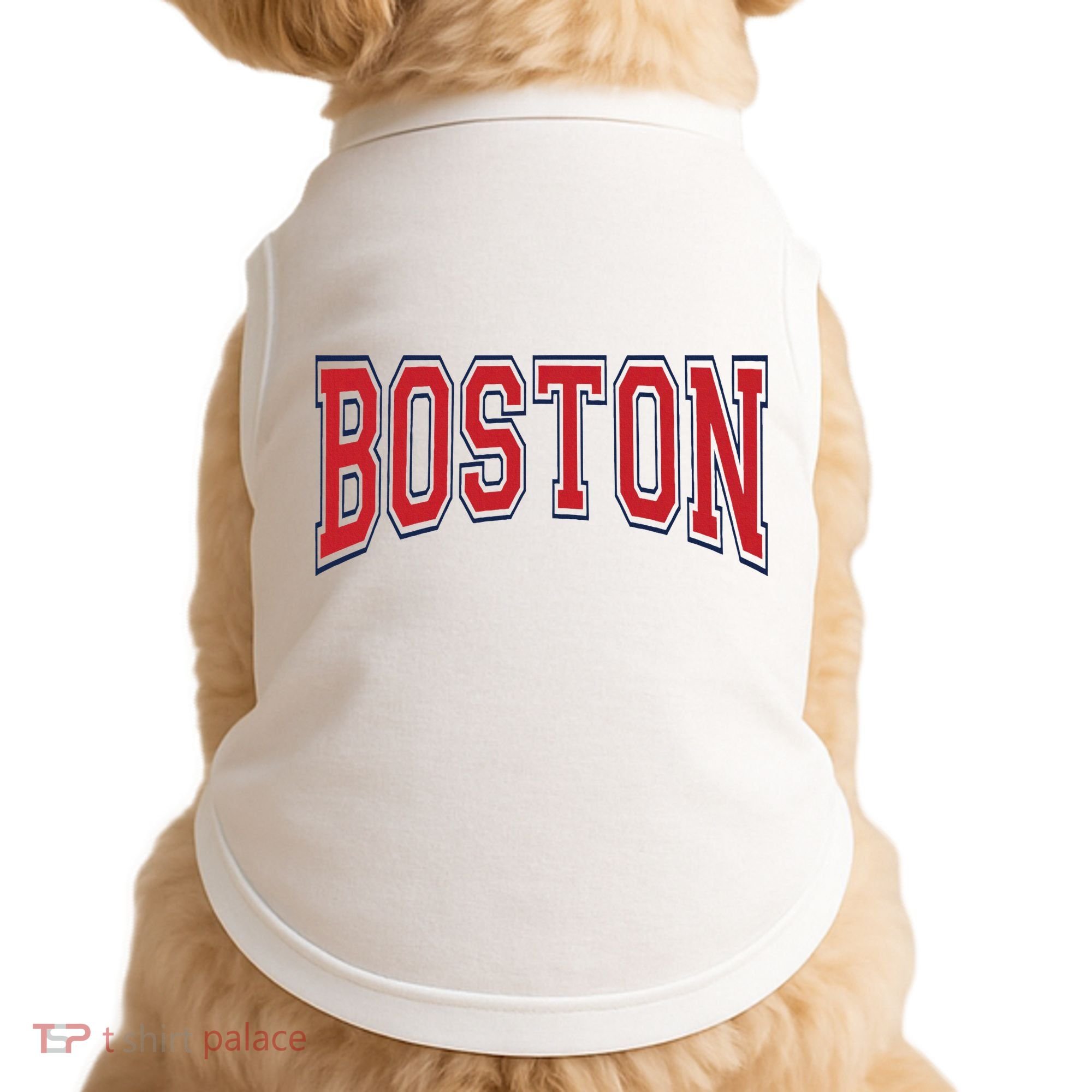 Boston Massachusetts Doggie Tank