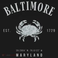 Baltimore Maryland Hoodie thumb 2
