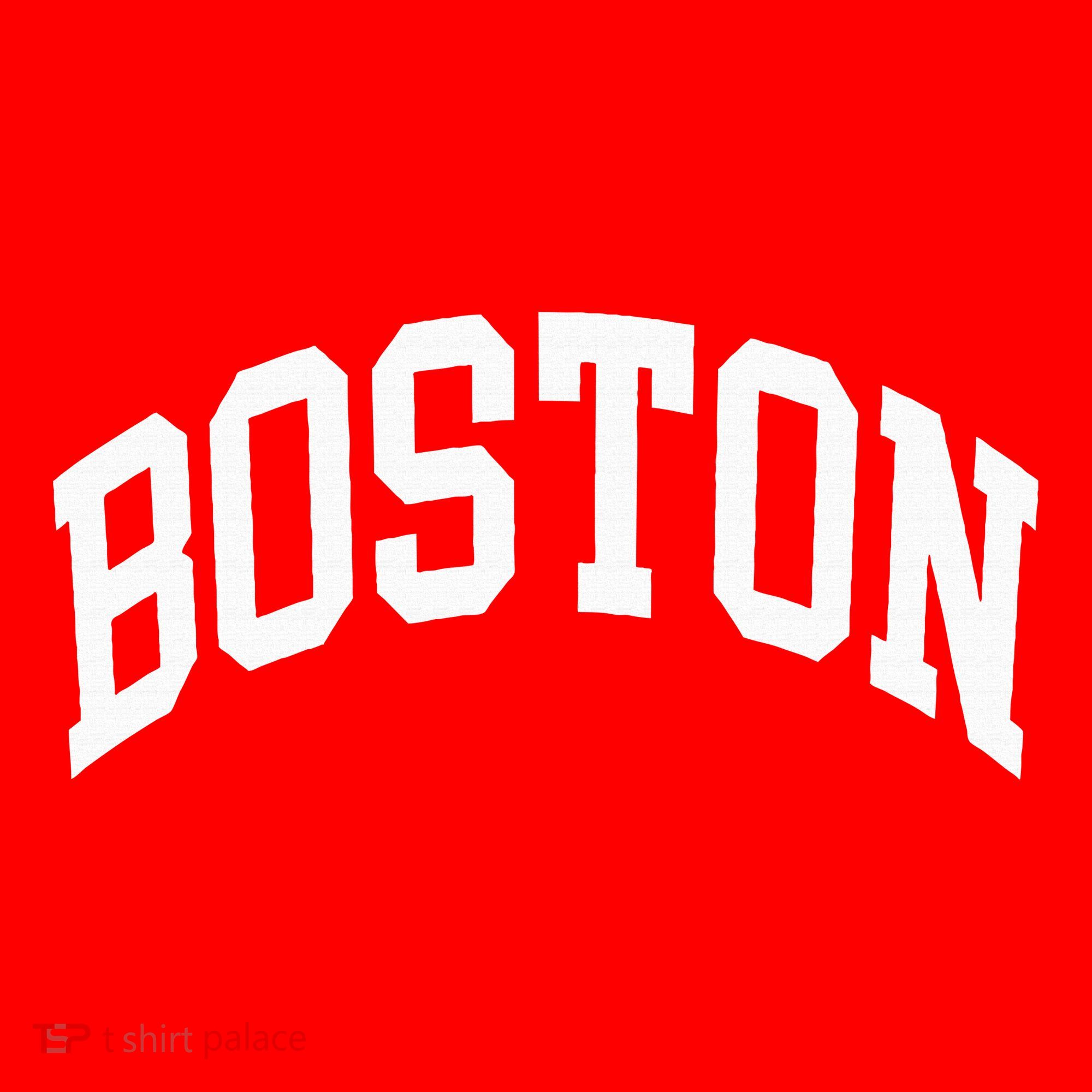 Boston Massachusetts Santa Hat