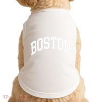 Boston Massachusetts Doggie Tank thumb 0