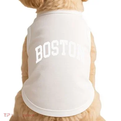 Boston Massachusetts Doggie Tank