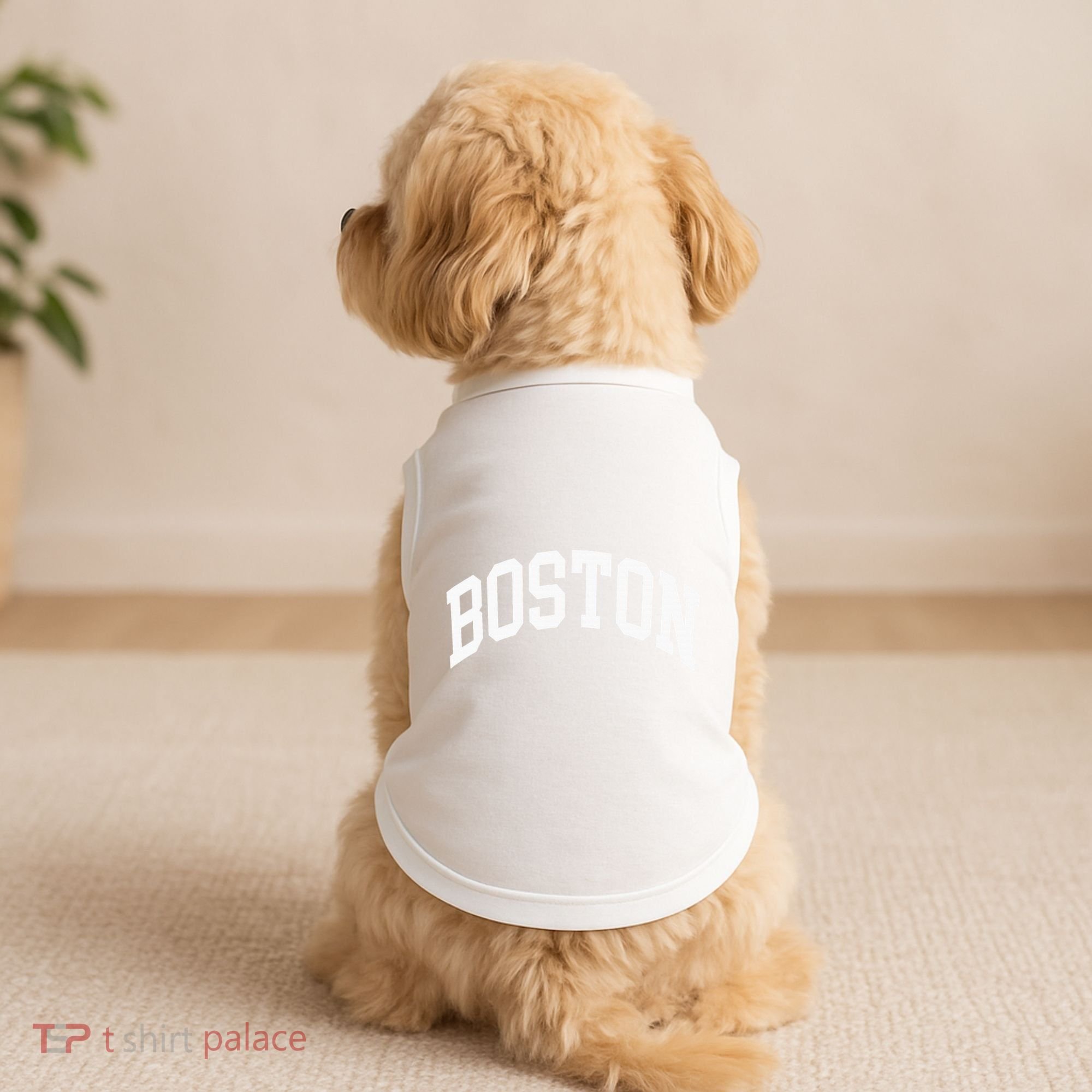 Boston Massachusetts Doggie Tank