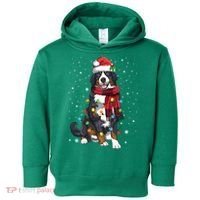 Bernese Mountain Christmas Tree Lights Dog Lover Xmas Toddler Hoodie thumb 0