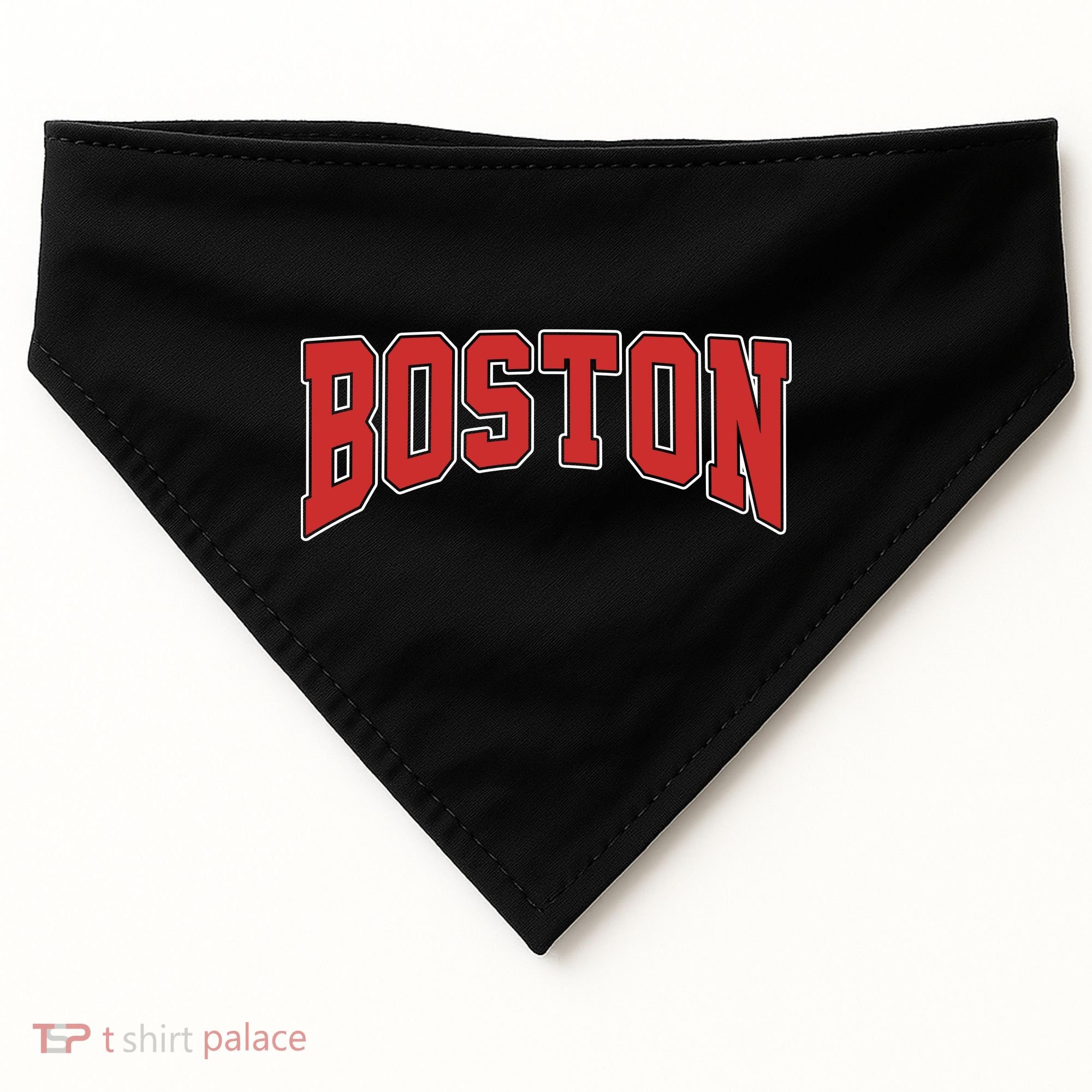 Boston Massachusetts Classic Curve USA-Made Doggie Bandana