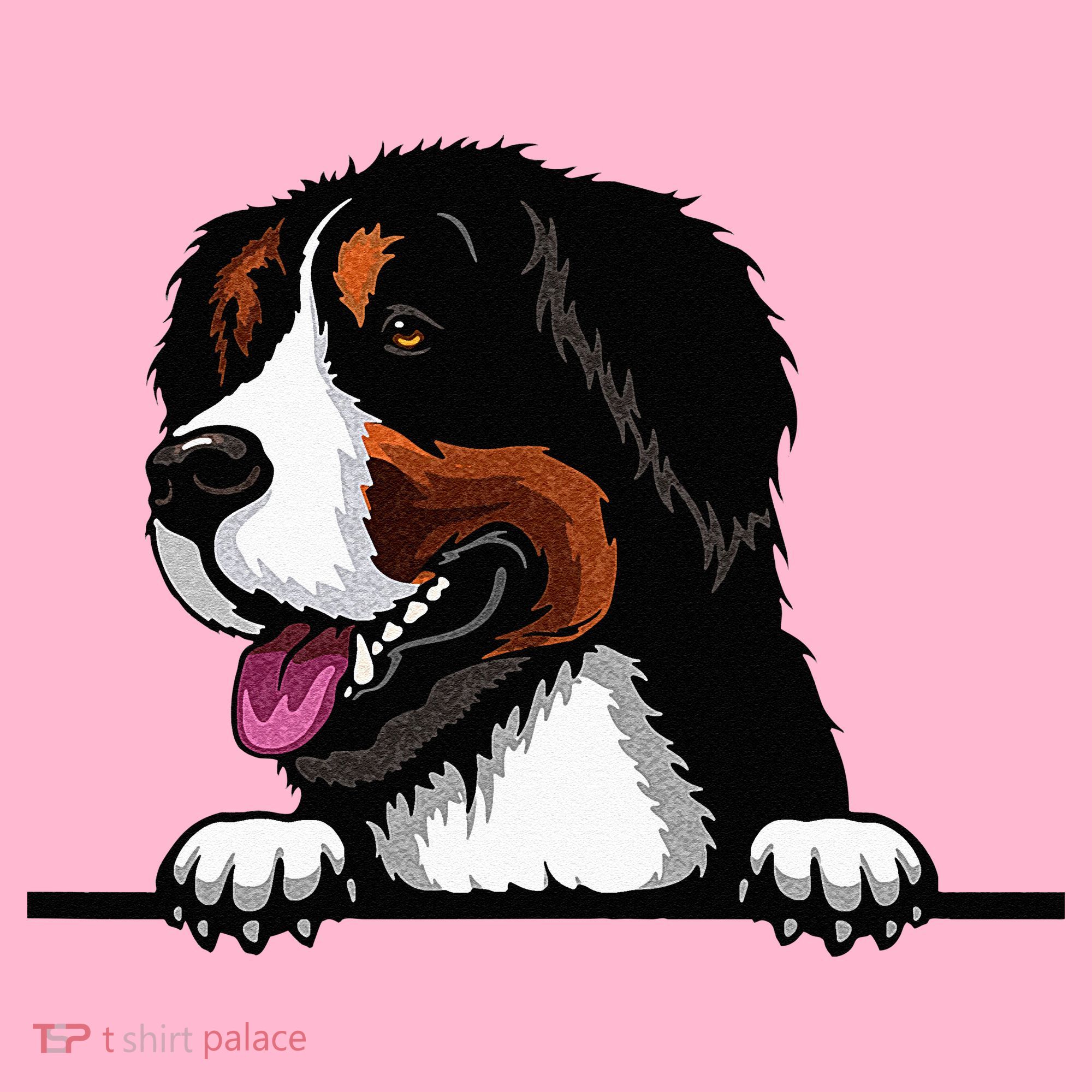 Bernese Mountain Dog Breed Popping Up Fun Dog Owner Coaster