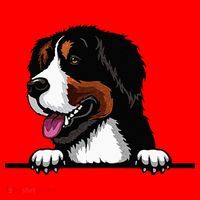 Bernese Mountain Dog Breed Popping Up Fun Dog Owner Santa Hat thumb 1