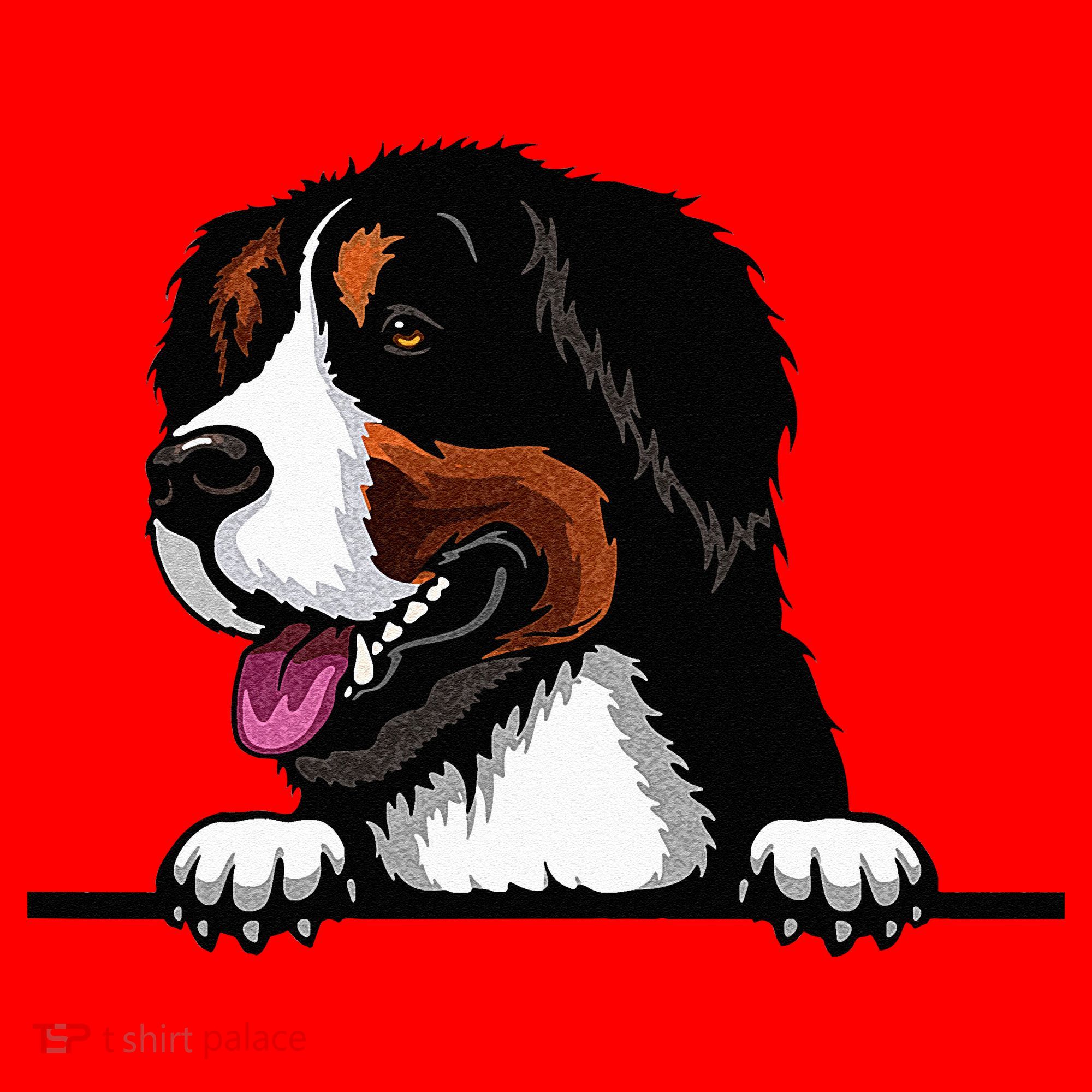 Bernese Mountain Dog Breed Popping Up Fun Dog Owner Santa Hat