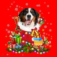 Bernese Mountain Dog Christmas Tree Lights Pajamas Xmas Gift Santa Hat thumb 1